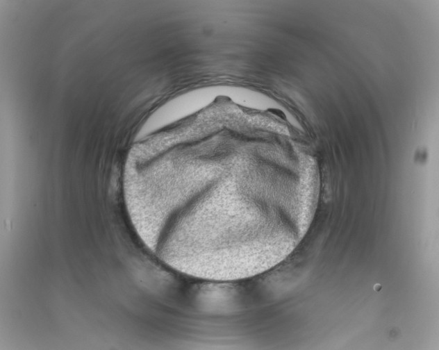 X0000090760077200708172056