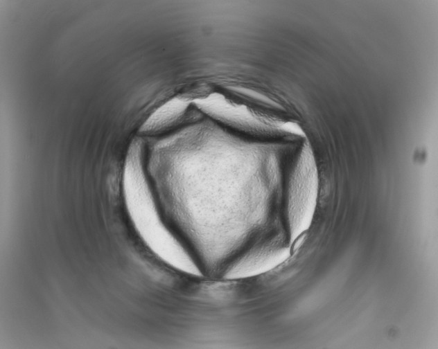 X0000090760078200708172056