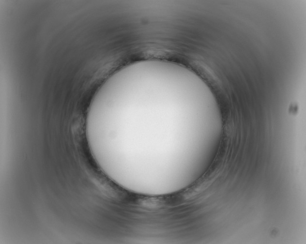 X0000090760079200708172056