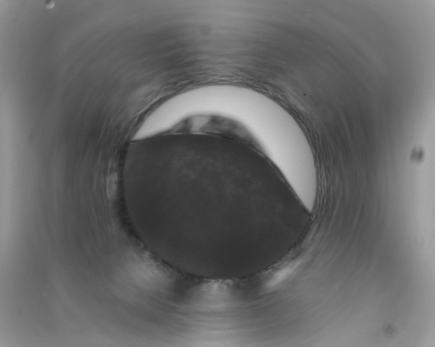 X0000090760080200708172056