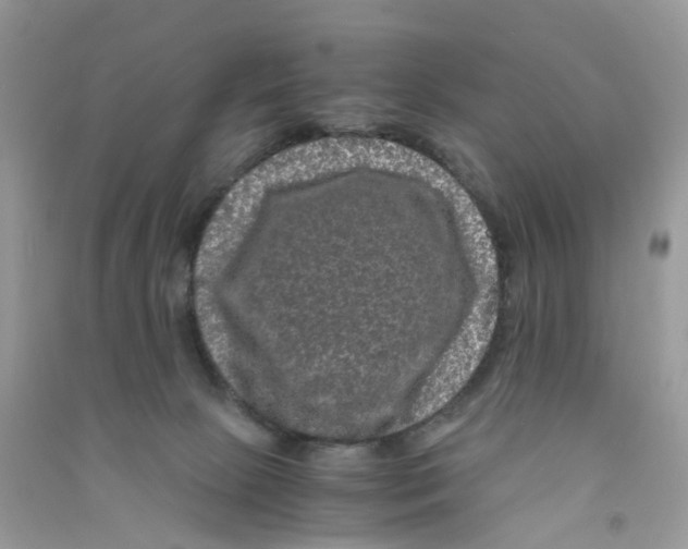 X0000090760081200708172056