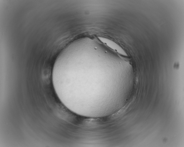 X0000090760082200708172056