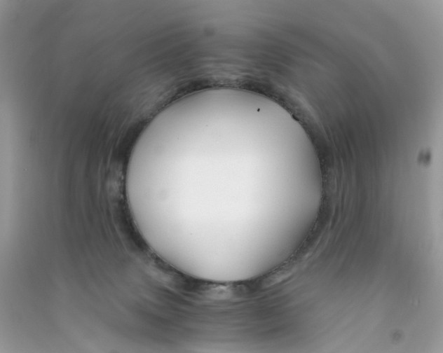 X0000090760083200708172056