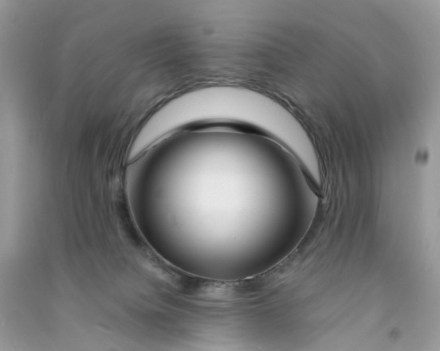 X0000090760084200708172056