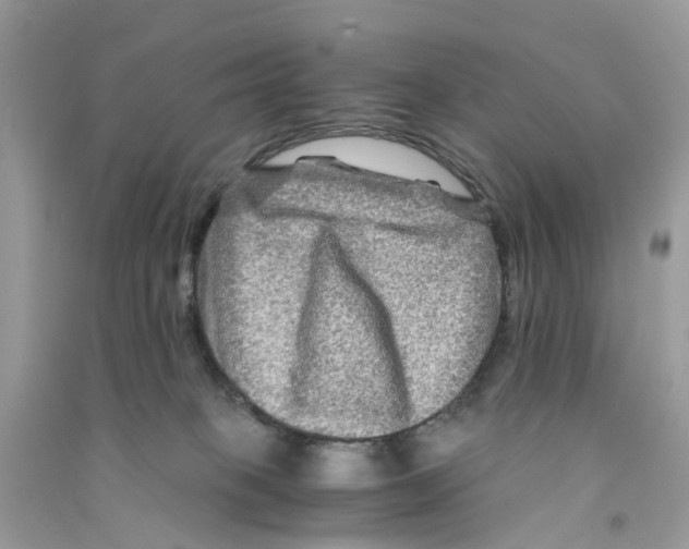 X0000090760085200708172056