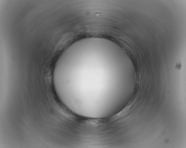 X0000090760086200708172056