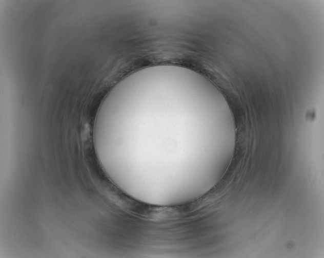 X0000090760087200708172056