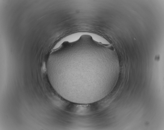 X0000090760089200708172056