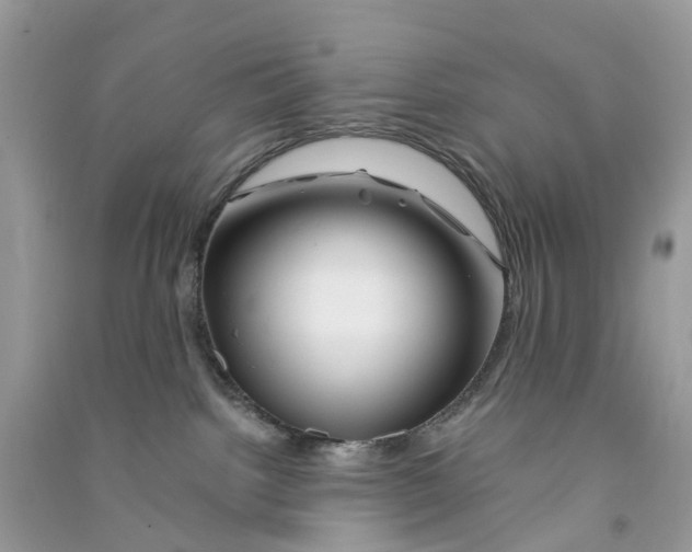 X0000090760092200708172056