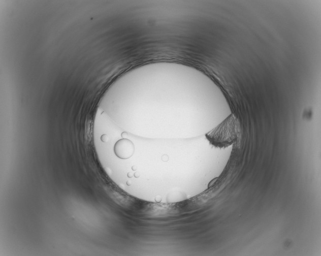 X0000090760093200708172056