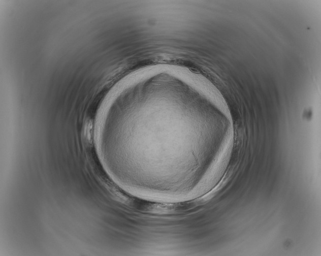 X0000090760094200708172056
