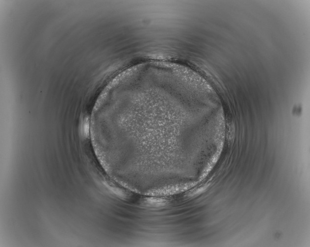 X0000090760095200708172056