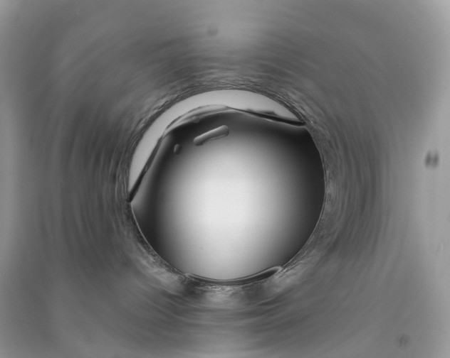 X0000090760096200708172056