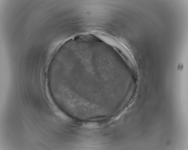 X0000090760097200708172056