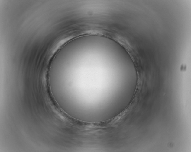 X0000090760098200708172056