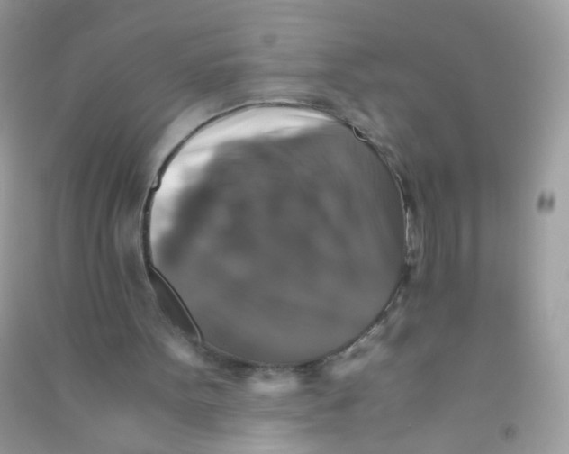 X0000090760099200708172056