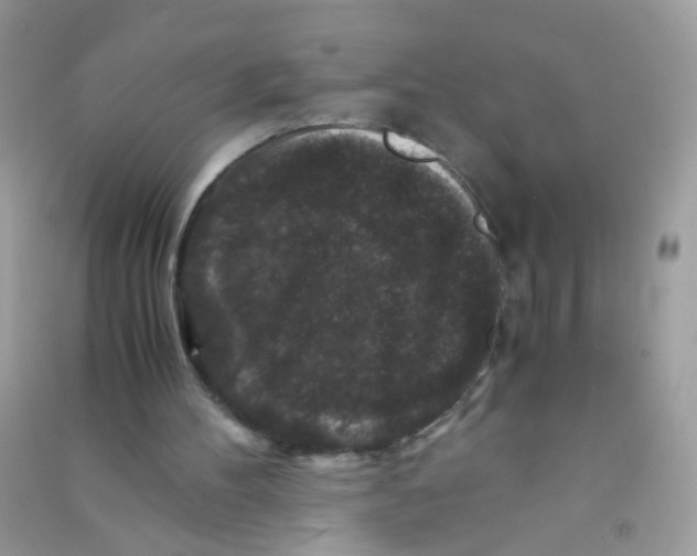 X0000090760100200708172056