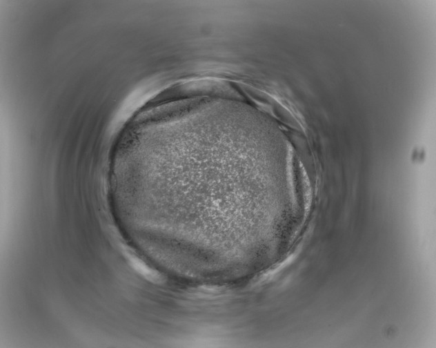 X0000090760101200708172056