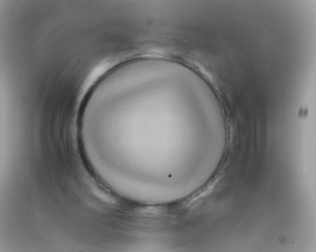 X0000090760102200708172056