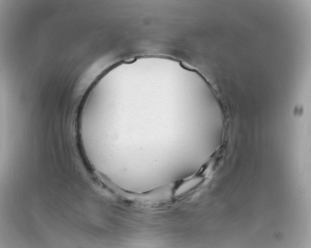 X0000090760103200708172056
