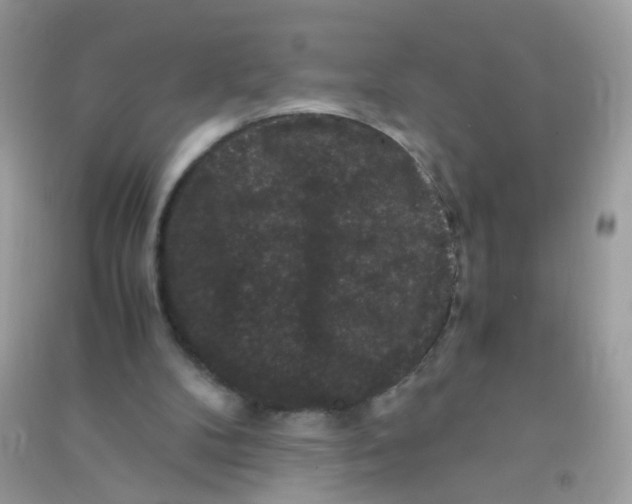 X0000090760104200708172056