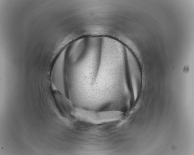X0000090760105200708172056