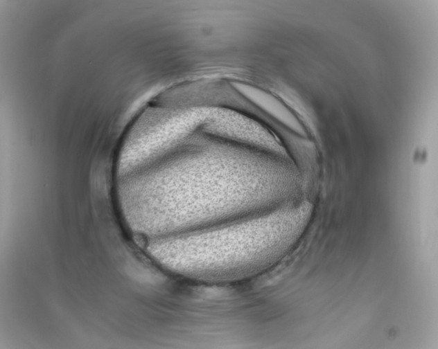 X0000090760107200708172056