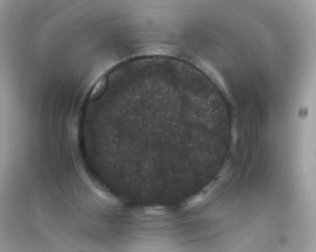 X0000090760108200708172056