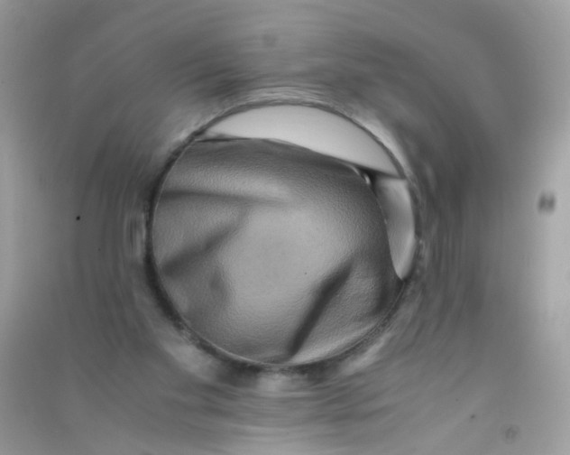 X0000090760109200708172056