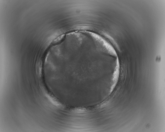 X0000090760110200708172056