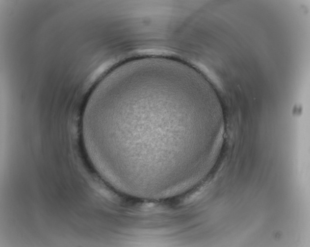 X0000090760111200708172056