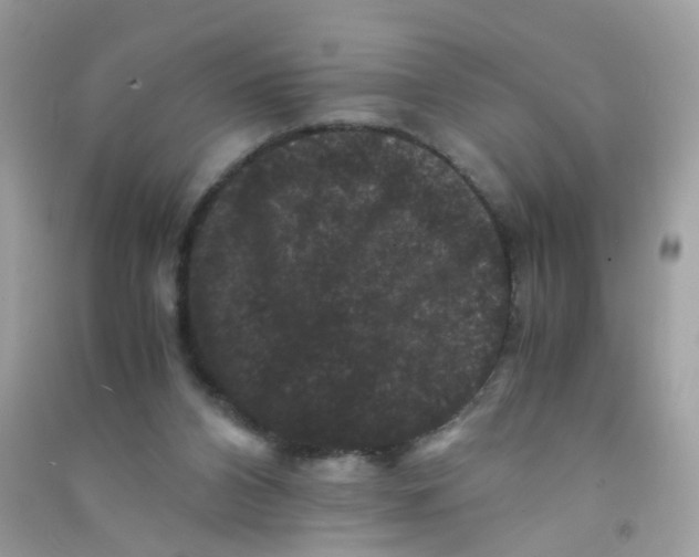 X0000090760112200708172056
