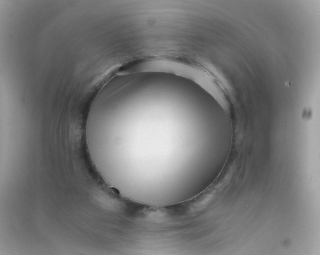 X0000090760113200708172056