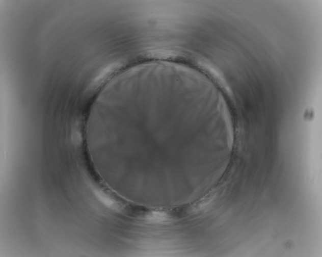 X0000090760114200708172056