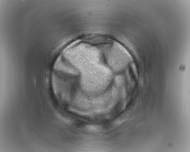 X0000090760115200708172056
