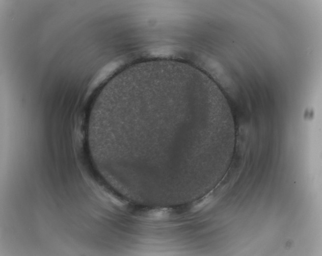 X0000090760116200708172056
