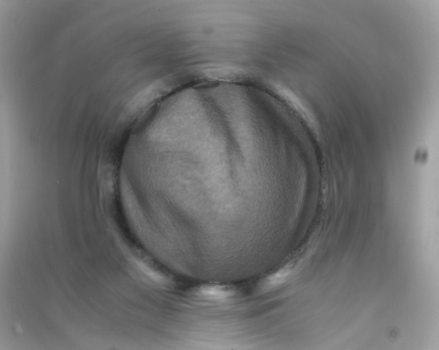 X0000090760117200708172055