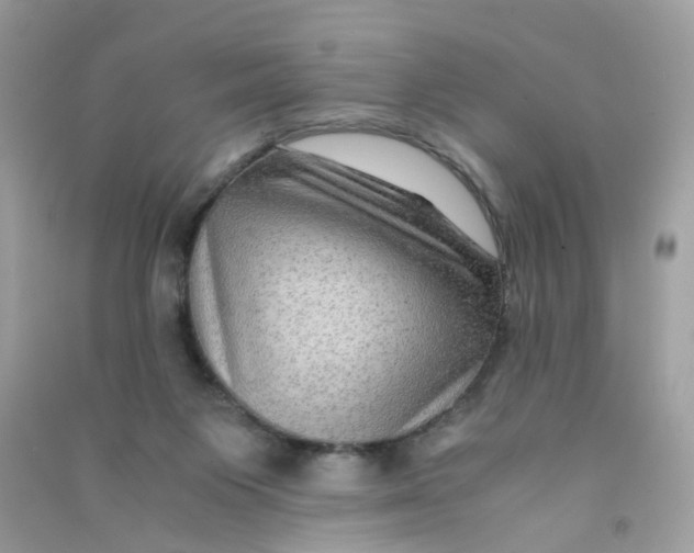 X0000090760119200708172055