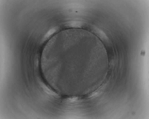 X0000090760120200708172055