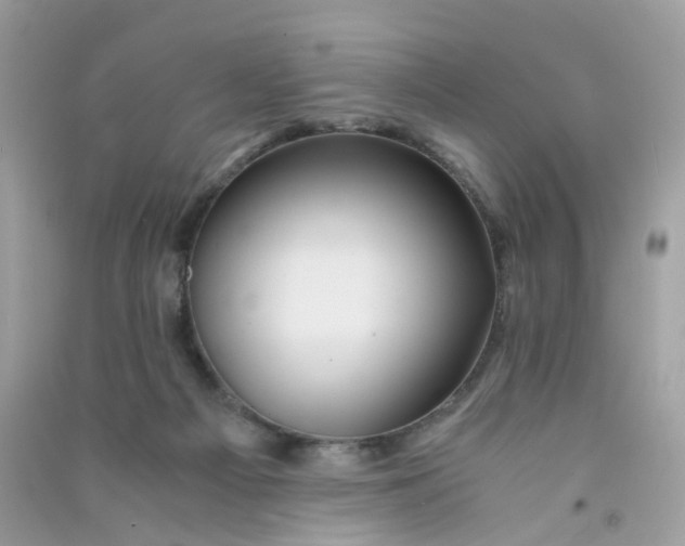 X0000090760121200708172055