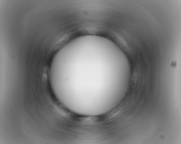 X0000090760122200708172055