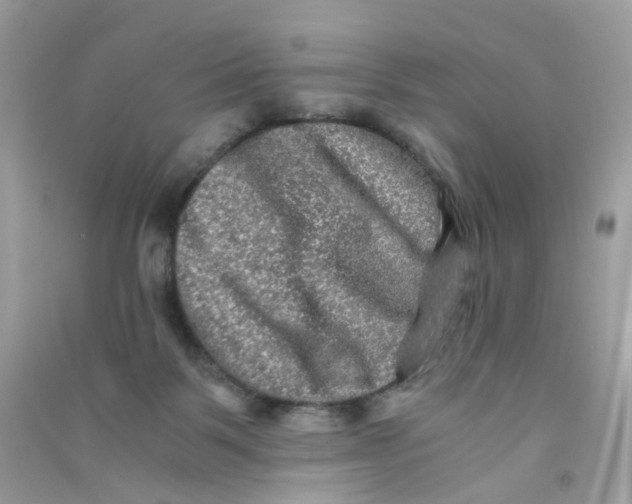 X0000090760123200708172055