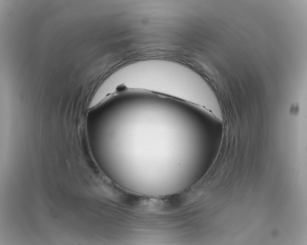X0000090760125200708172055