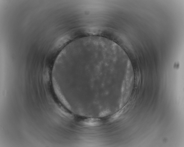 X0000090760128200708172055
