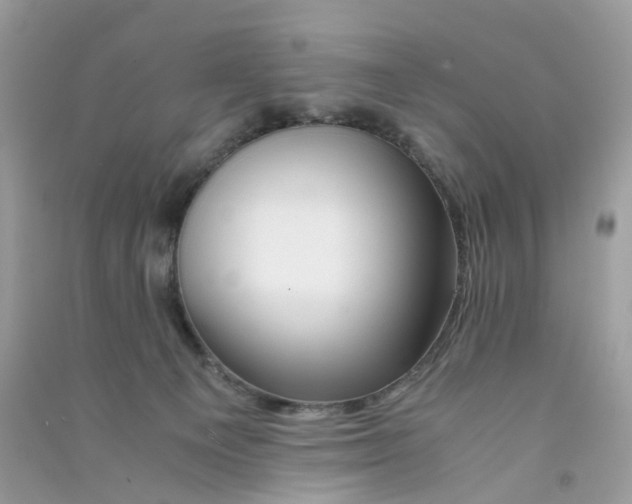 X0000090760129200708172055