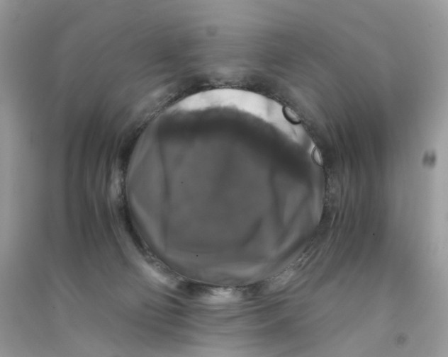 X0000090760130200708172055