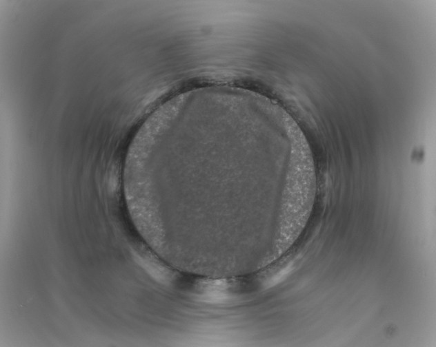 X0000090760131200708172055