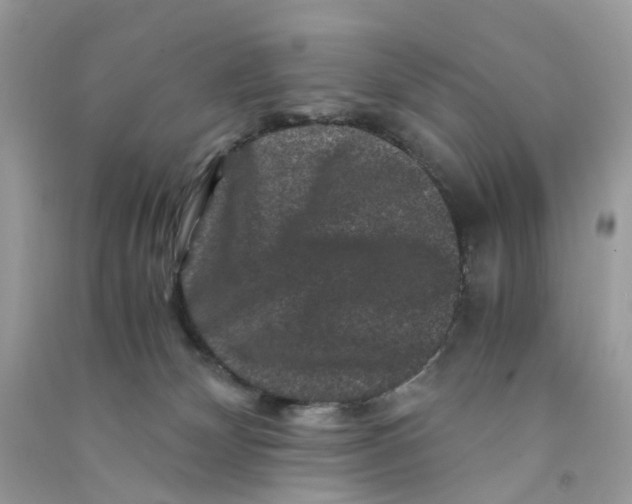 X0000090760132200708172055