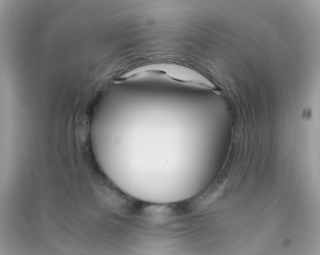 X0000090760133200708172055