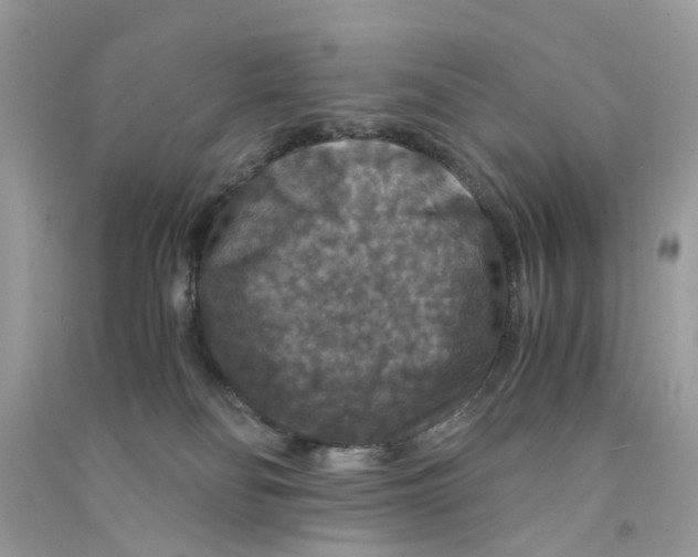 X0000090760134200708172055